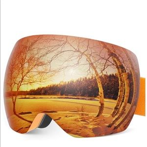 Ski/snowboard goggles
